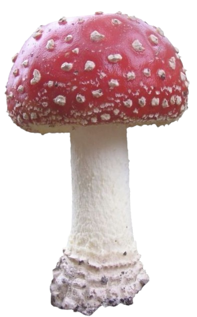 mushy4