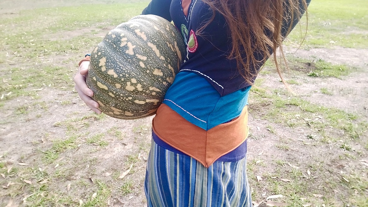 pumpkin2