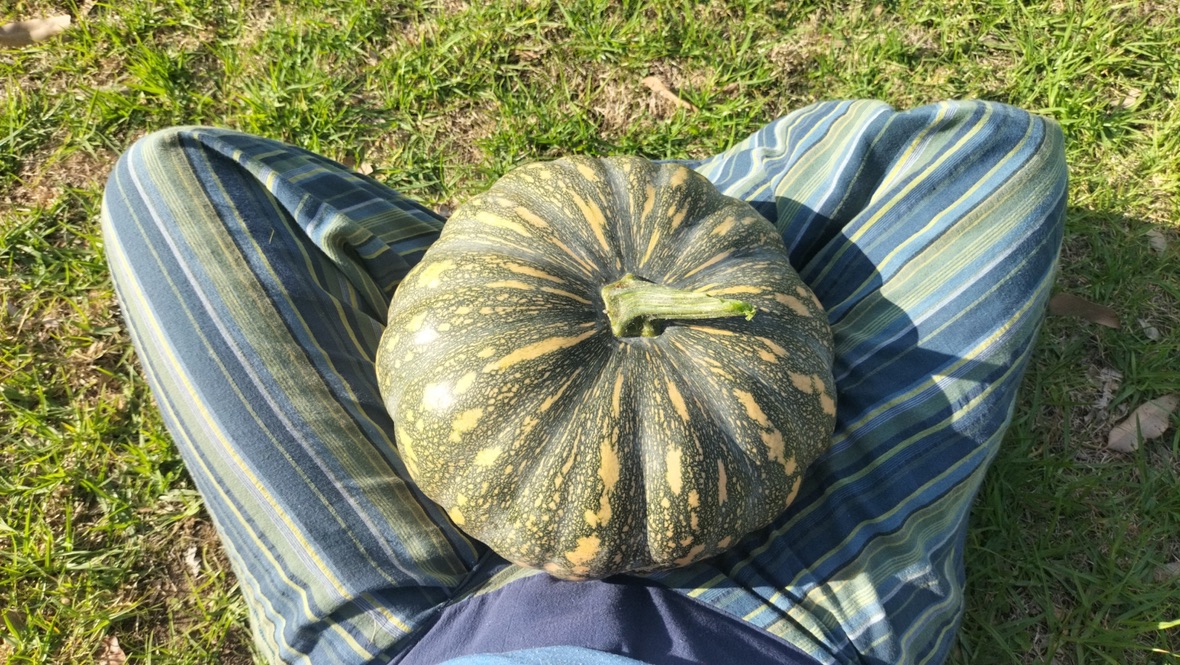 pumpkin3