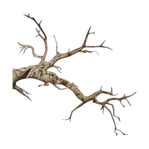 branch sticker