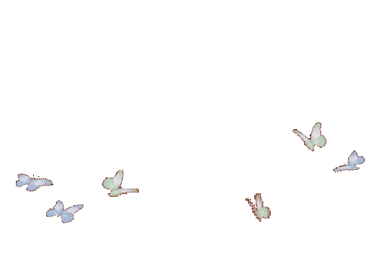 butterflies gif