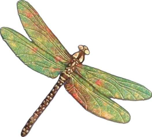 colourful dragonfly Sticker