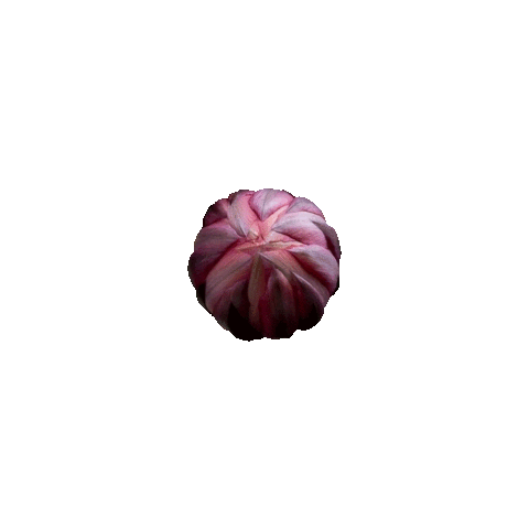 flower sticker