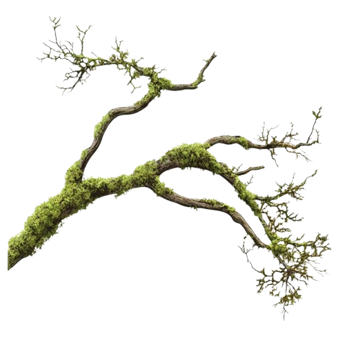 green branch sticker