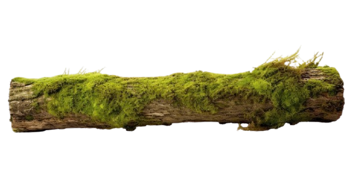 green log