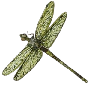 greeny dragonfly Sticker