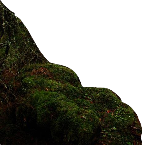 moss corner
