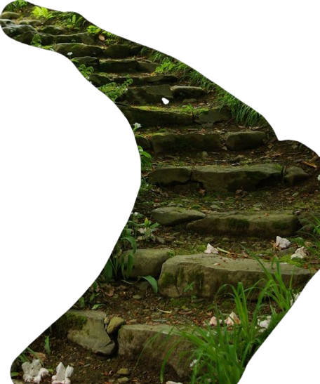moss path