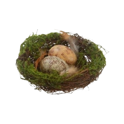 nest